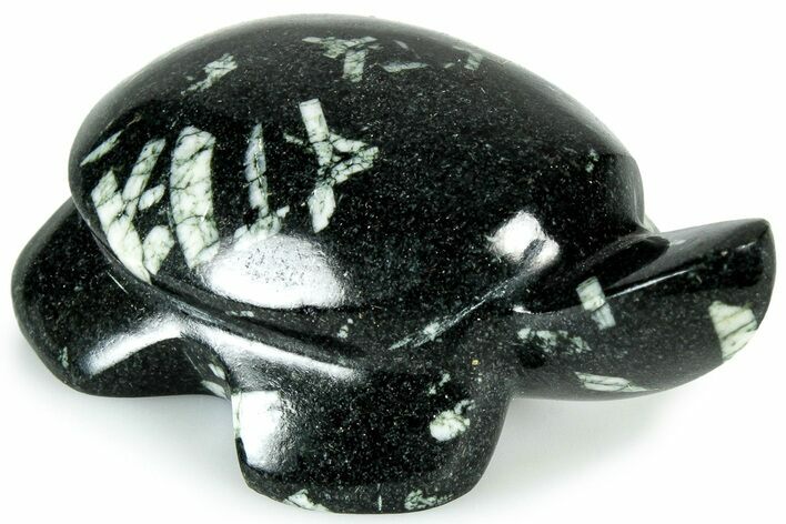 Carved Chinese Writing Rock Turtle - Australia #308502